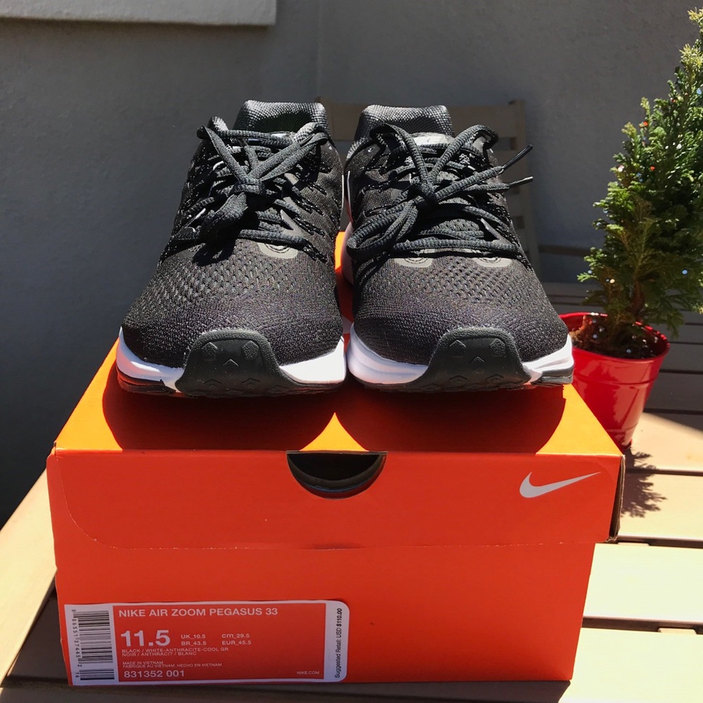 Nike Air Zoom Pegasus 33